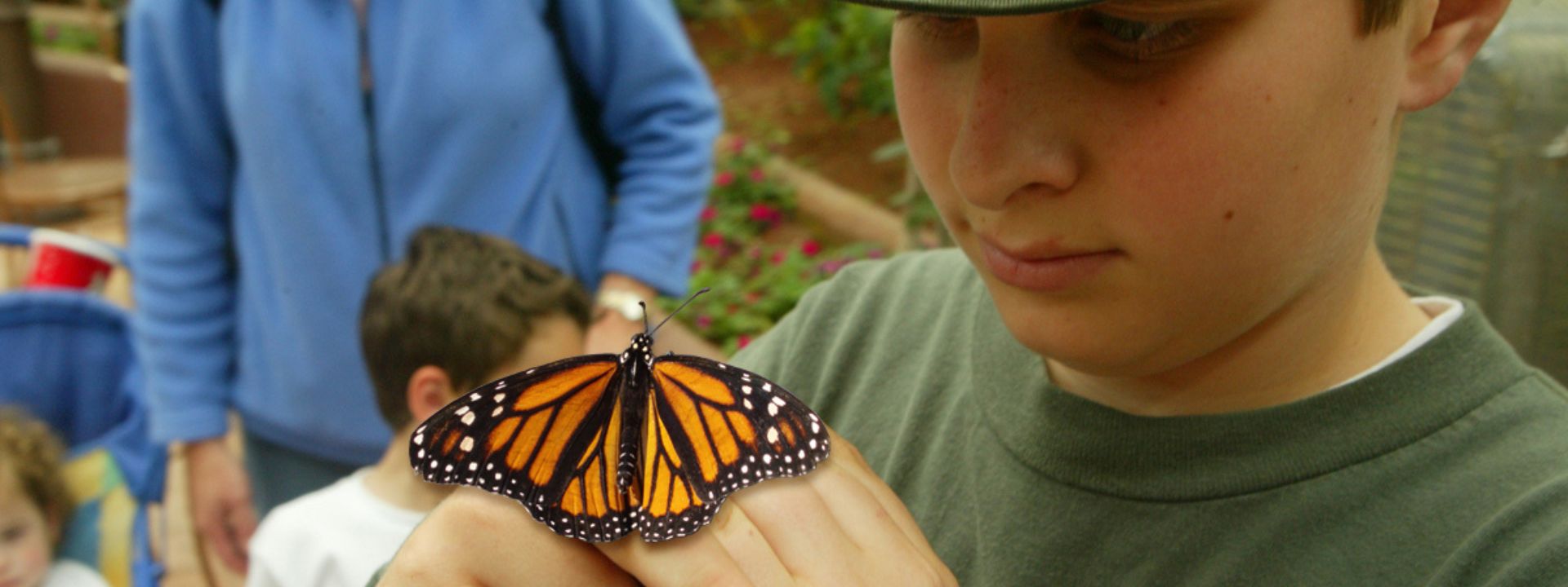 Young boy wearing a green shirt and hat stares as he is holding a monarch butterfly on his hand.