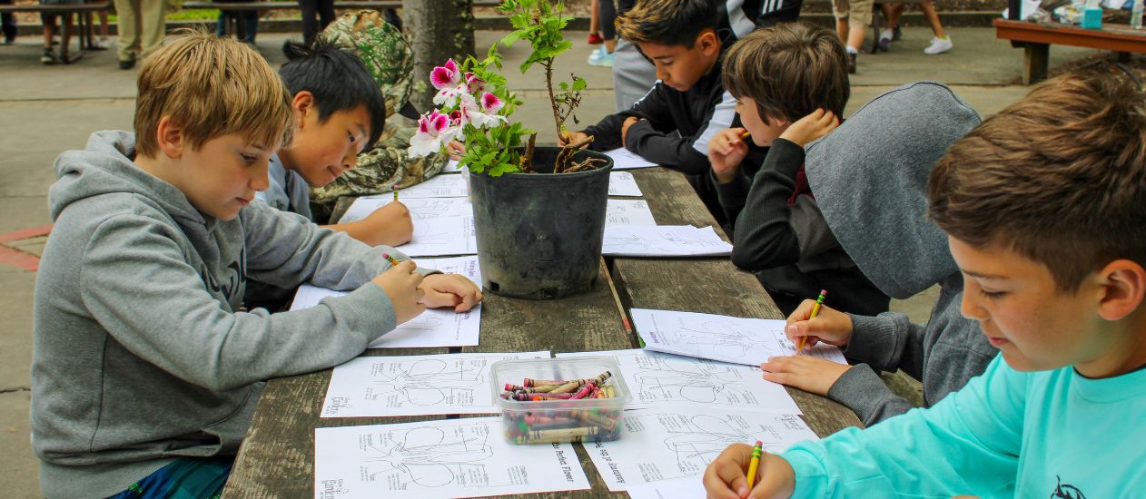 A group of six diverse boys filling out worksheets about flowers on a wooden table with white and pink flowers on the middle of the table.