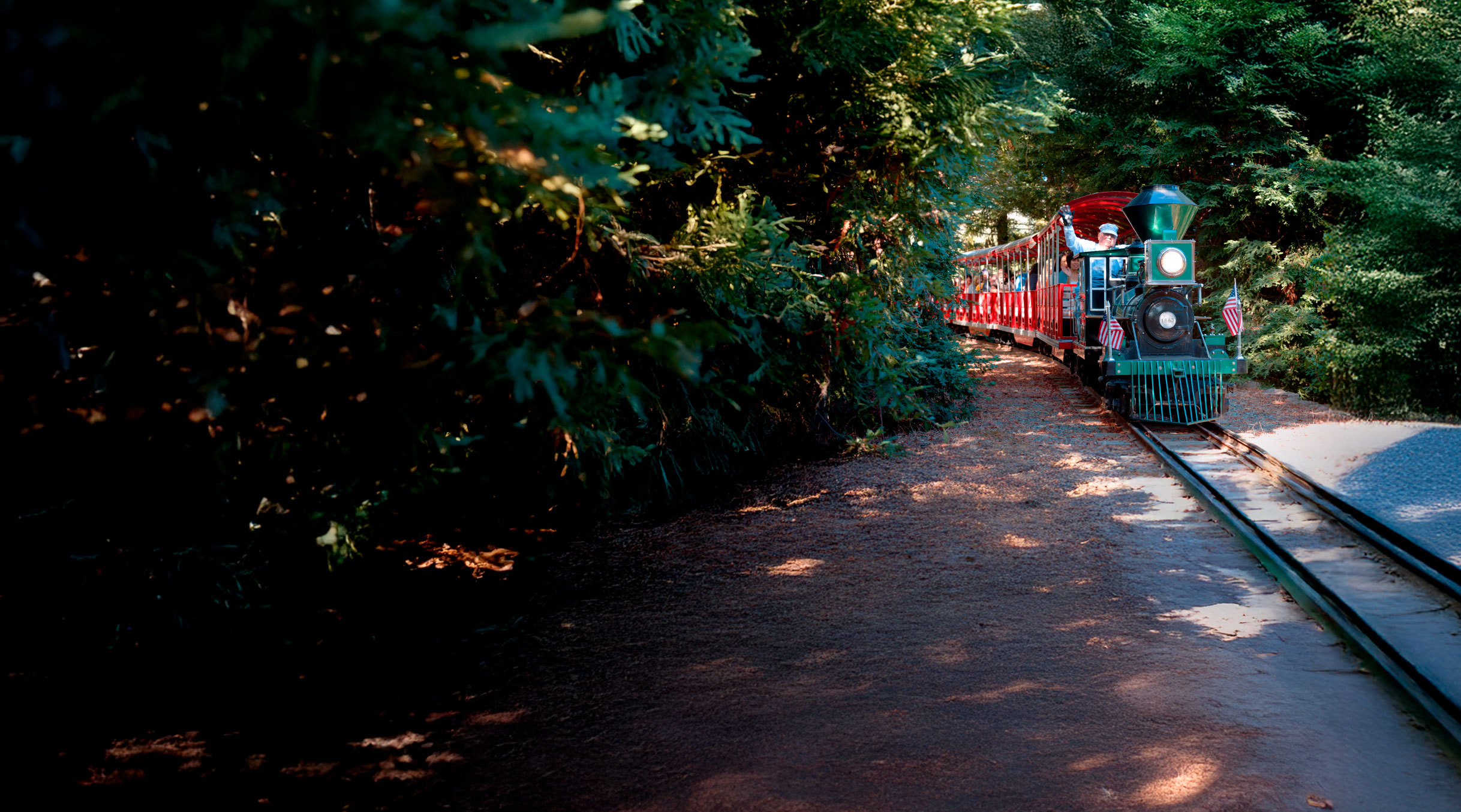 Green train with two American flags going down the tracks with large green trees around it